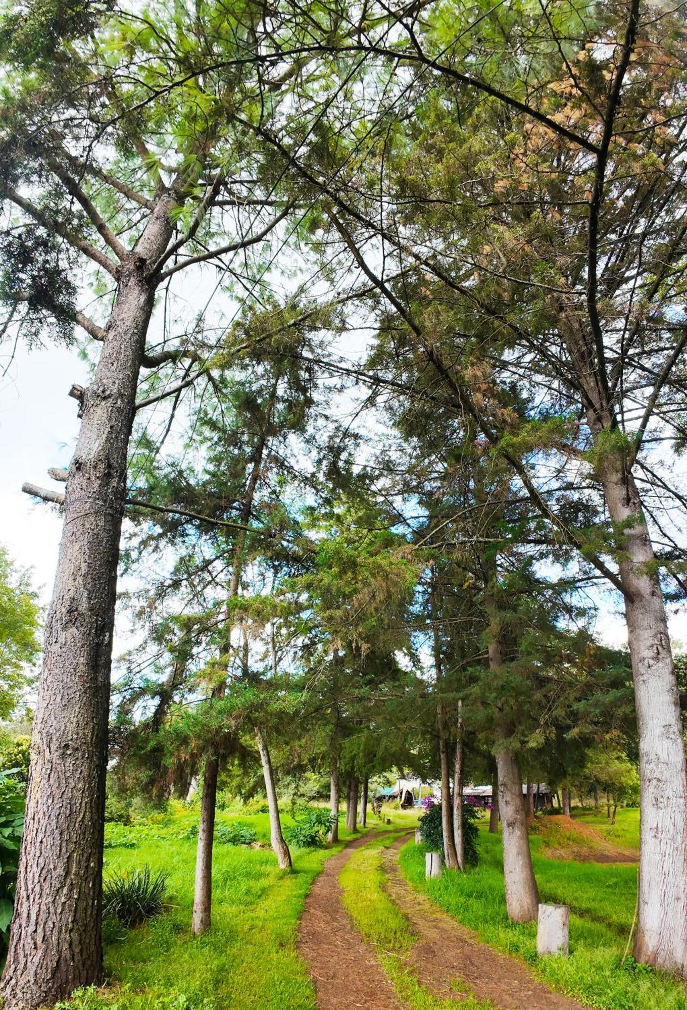 Villa Patzcuaro Garden Hotel Екстер'єр фото